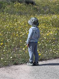 Profile for The Santa Clara River Confluence