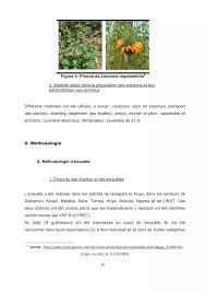 Image result for Vernonia nepetifolia