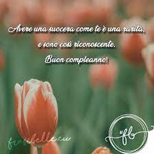 Cara Buon Compleanno Suocera Buono Compelanno