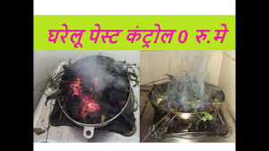 Maybe you would like to learn more about one of these? Bed Bug Control Grand Rapids Mn