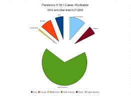 h1n1 by felicitas hadad infographic