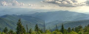 Laurea home furnishing 1 tip. Laurea Home Furnishing Sdn Bhd