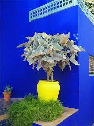 Check spelling or type a new query. Mariage De Couleurs Au Jardin Majorelle Marrakech Jardin Majorelle Peindre Mur Exterieur Jardins