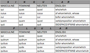 What The Hic Haec Hoc Relative Pronouns