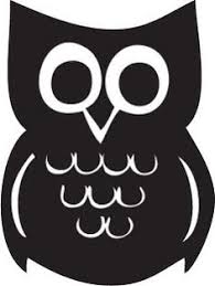 Pin On Animals Birds Owls