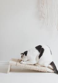 Claw Control The Diy Cat Scratching Post Remodelista Diy Cat Scratching Post Diy Cat Scratcher Cat Scratcher