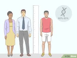 Boys get taller at a slower rate and stop growing completely at around 16 years of age (but may continue to get more muscular). How To Become Taller Naturally 12 Steps With Pictures Wikihow Life