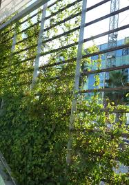 Pin By Nick Mccullough Apld On Fences Gates Screens Green Fence Greenscreen Green Architecture