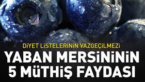 Ağız içi enfeksiyonuna neden olan sorunları neredeyse sıfıra düşüren yaban mersini, tükürük bezlerinin de. Diyet Listelerinin Vazgecilmezi Yaban Mersinin 5 Muthis Faydasi Haber Kibris