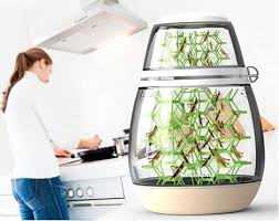 Farm Your Own Edible Insects With This Cool Terrarium Webecoist Edible Insects Edible Bugs House Insects