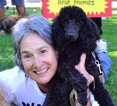 Absolute Silver, Miniature Poodles, AGILITY, CONFORMATION and OBEDIENCE,  Winona, MN