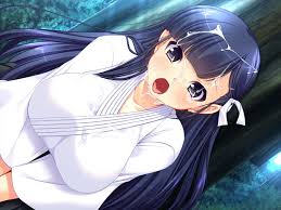 Bikyaku seido kaichou ai