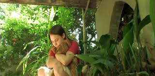 فیلم Megan Is Missing 2011 – زیرنویس چسبیده