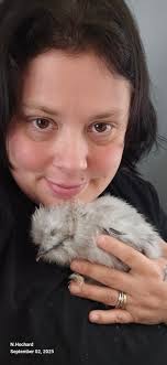 𝐖𝐞 𝐧𝐞𝐞𝐝 𝟏,𝟎𝟎𝟎 𝐡𝐞𝐥𝐥𝐨'𝐬 𝐟𝐫𝐨𝐦 Tweety Bird"  𝐋𝐨𝐯𝐞𝐫𝐬.❤️❤️