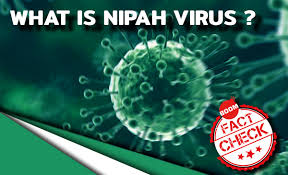 Nipah virus encephalitis in primate models. Nipah Virus Outbreak All You Need To Know