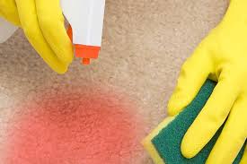 We did not find results for: How To Get Blood Out Of Carpet 3 Easy Steps Home Care Zen