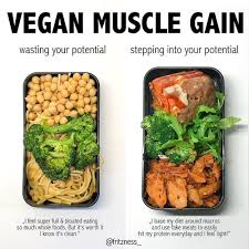 Vegan Muscle Gain Super Low Calorie Recipes Skinny Recipes Under 300 Calories Calori No Calorie Foods Low Calorie Recipes 400 Calorie Meals