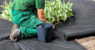 Maybe you would like to learn more about one of these? Garden Fabric How To And Why Use It In Your Landscape