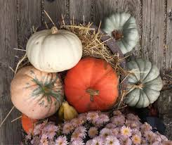 Stock market futures are higher and the investing environment is spirited. 57 Things To Do Thanksgiving Week In Columbus