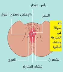 غشاء البكارة العذرية البكارة العذرية وفض غشاء البكارة العذرية هل تؤتر على غشاء البكارة هل يمكن الشعور بغشاء البكارة أعراض فقدان الغشاء البكار map map screenshot