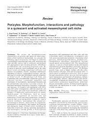 We did not find results for: Pdf Pericytes Morphofunction Interactions And Pathology In A Quiescent And Activated Mesenchymal Cell Niche
