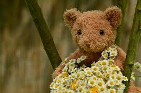 Our gifting style from anniversary and wedding gifts , to newborn baby gifts , wellness baskets and more, discover our spectacular collection of flowers , gifts and hampers. Popular Get Well Soon Flowers For Hamper Delivery That Flower Shop