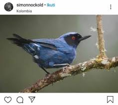 We did not find results for: 20 Foto Burung Dengan Warna Cantik Dari Penjuru Dunia