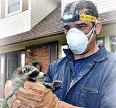 Get do it yourself pest control reviews, ratings, business hours, phone numbers, and directions. Pest Control Businesses For Sale Buy Pest Control Businesses At Bizquest