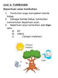 Udara, cahaya, air, , , incorrect: Keperluan Asas Tumbuhan