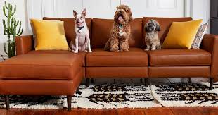 Dukeliving billy single sofa bed (blue). Allform S Custom Couch Fits The Whole Family