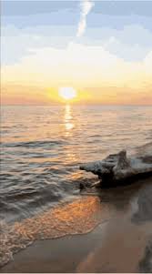 Beach Sunset Gifs Tenor The best gifs are on giphy. beach sunset gifs tenor