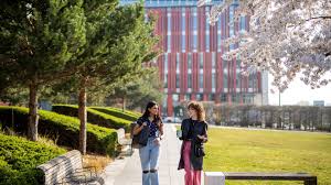 Students at university