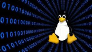 Hệ điều hành Linux là gì? Ưu, nhược điểm và cách cài đặt