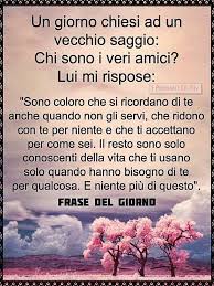 Il Saggio Disse Bene Citazioni Divertenti Sull Amicizia Citazioni Sul Pensiero Citazioni Filosofiche