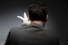 Rabbits are very sensitive, they scare easily and they break easily. Here S Why Easter Is Bad For Bunnies