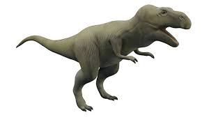 Jetzt ta lesen und bis zu 80 € prämie sichern! T Rex Augmented Reality Ar Quick Look Model Educational Teaching Resource