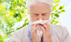 Could Cbd Oil Help To Alleviate The Symptoms Of Hay Fever