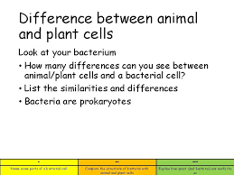 Animal cells lack the hard cell wall and chloroplasts that are present in plant cells. Bacteria And Yeast Name Some Parts Of A