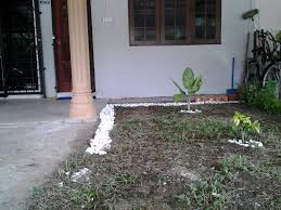 409 likes · 7 talking about this · 68 were here. Homestay Jasin Home Facebook