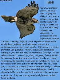 Pin By C On Raven In 2020 Animal Totem Spirit Guides Spirit Animal Totem Animal Spirit Guides