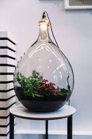 kickstarter campaign spruitje april and may plants in bottles terrarium terrarium plants