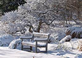 What To Do In The Garden During The Winter 1001 Gardens Winter Garden Outdoor Gardens Home Landscaping
