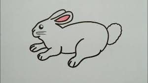Berikut ini ide gambar mewarnai kelinci. Kelinci Mari Belajar Menggambar Dan Mewarnai Youtube
