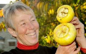 York residents pull together to create a communal garden