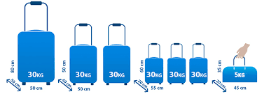 Transportation Of Luggage Ecolines