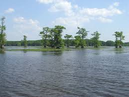These 14 Gorgeous Lakes In Texas Are Demanding Your Attention This Summer Texas Lakes Lake Bald Cypress Tree