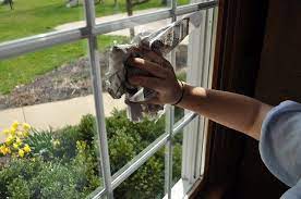 Life Tips Of The Week 86 Ippinka Cleaning Hacks Washing Windows Cleaning