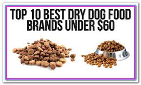 10 Best Dry Dog Foods Besides Choosing The Best Dog Suited To Your Family And Lifestyle Picking Dog Food Recipes Best Dry Dog Food Healthy Dog Food Recipes
