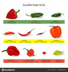 Scoville Scale Chilli Peppers Spiciness Vector Stock