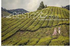 A customary wedding photographer would take photos of the bride and groom of the hour alongside the family yet there are a couple of angles that get passed up a. Best Wedding Photos Of 2013 Junebug Weddings